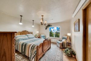 15 - Copy - Copy - Copy