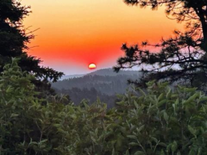 Untitled (640 x 480 px) (3)