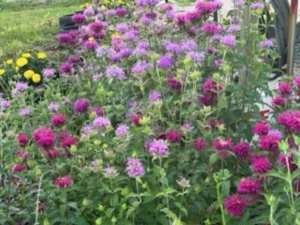 Untitled (640 x 480 px) (4)