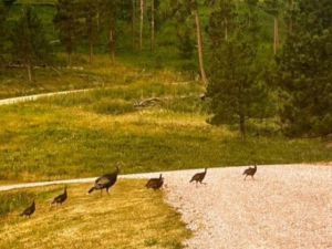 Untitled (640 x 480 px) (640 x 480 px)